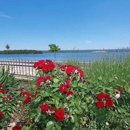 Apartmán Ivana-5 By Interhome *